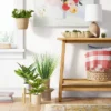 Green Plant In Plant Stand - Threshold™ -Home Decoration Sale GUEST 00ae8a9a 2365 449e 9a30 b0c7967bf908