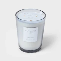 Colored Vase Glass With Dustcover Rainwater Lily Candle Gray - Threshold™ 13 Colored Vase Glass With Dustcover Rainwater Lily Candle Gray - Threshold™ -Home Decoration Sale GUEST 1a738ead 7e7a 4f46 b4ff 79439b3488d0