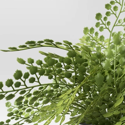 Small Fern In Modern Pot Maiden Hair Arrangement - Threshold™ 4 Small Fern In Modern Pot Maiden Hair Arrangement - Threshold™ - Image 2