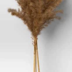 Pampas Grass Bundle - Threshold™ 7 Pampas Grass Bundle - Threshold™ -Home Decoration Sale GUEST 26edef61 6665 4adf 8950 0f1ca68295ab
