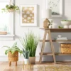 Small Snake Plant In Plant Stand - Threshold™ 1 Small Snake Plant In Plant Stand - Threshold™ -Home Decoration Sale GUEST 489d175d 669a 46a9 aa02 7878efa3550b