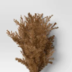 Pampas Grass Bundle - Threshold™ 6 Pampas Grass Bundle - Threshold™ -Home Decoration Sale GUEST 508108e8 4c81 4946 b427 ae9cac46da62