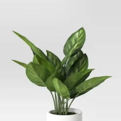 Green Plant In Plant Stand - Threshold™ 6 Green Plant In Plant Stand - Threshold™ -Home Decoration Sale GUEST 5ec03bf2 70d5 4f3e b262 facd16d9fa85
