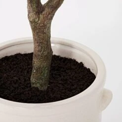 76.5"x 30" Artificial Olive Tree In Ceramic Pot - Threshold™ Designed With Studio McGee 7 76.5"x 30" Artificial Olive Tree In Ceramic Pot - Threshold™ Designed With Studio McGee -Home Decoration Sale GUEST 5f1c0b63 d965 4bfb 9559 6084dae15f92