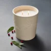 25oz Ceramic Bay & Winter Berry Candle Cream - Threshold™ Designed With Studio McGee -Home Decoration Sale GUEST 6c0fa399 d0e6 4a23 be89 206c3594074c