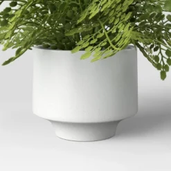 Small Fern In Modern Pot Maiden Hair Arrangement - Threshold™ 7 Small Fern In Modern Pot Maiden Hair Arrangement - Threshold™ -Home Decoration Sale GUEST 75fb7d8f c213 4761 a51b b27751ab80ae