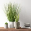 25" X 15" Artificial Onion Grass Arrangement In Ceramic Pot - Threshold™ 1 25" X 15" Artificial Onion Grass Arrangement In Ceramic Pot - Threshold™ -Home Decoration Sale GUEST 9780783e 14a4 48cf 8351 1567c24a520e