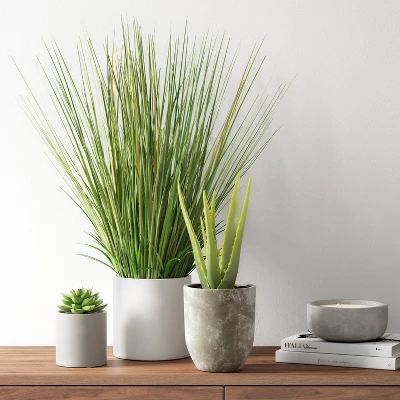 25" X 15" Artificial Onion Grass Arrangement In Ceramic Pot - Threshold™ 3 25" X 15" Artificial Onion Grass Arrangement In Ceramic Pot - Threshold™