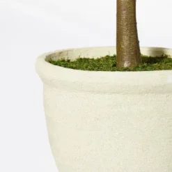 Ficus Tree - Threshold™ Designed With Studio McGee -Home Decoration Sale GUEST b527c49c 40e7 4f4d 8026 e60817b7e327