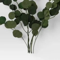 Preserved Eucalyptus Bundle - Threshold™ -Home Decoration Sale GUEST c7dd4b87 faec 4ba4 94c4 c0953dd894d7