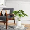 21" X 23" Artificial Monstera Arrangement In Ceramic Pot - Threshold™ 2 21" X 23" Artificial Monstera Arrangement In Ceramic Pot - Threshold™ -Home Decoration Sale GUEST f9d6b249 48b9 4058 95a4 5e610fe21d3f