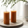 2pk Pillars Vanilla Pumpkin Orange - Threshold™ 1 2pk Pillars Vanilla Pumpkin Orange - Threshold™ -Home Decoration Sale GUEST fa13aebd 398f 4e50 af52 3d1987ab4a55