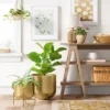 Brass Stand Planter - Threshold™ -Home Decoration Sale GUEST fee58bf9 126d 48ce ba4e 2e8424a7a911